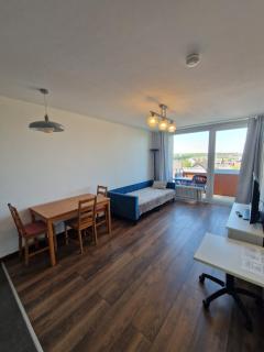 Zentral gelegenes Zwei-Zimmer Apartment mit Skylineblick - Offenbach - 9