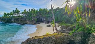 Amaro Homestay - 2