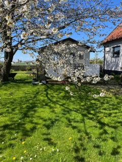 Wiroth B&B Hannasvägen - - 4