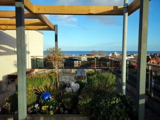 Berolina 119 - Alte Liebe - Dahme - 1