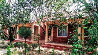 Orchard Hills Resorts - Pushkar - 6