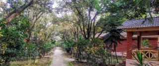 Orchard Hills Resorts - Pushkar - 1