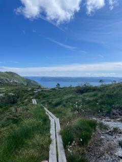 Panorama leilighet - Lii - 5