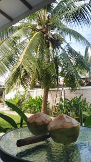 Cena Homestay - Mantaak - 4