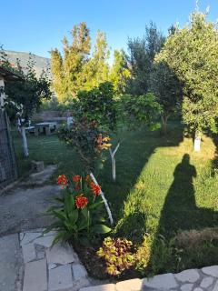 Orikum Apartments - Valona - 4