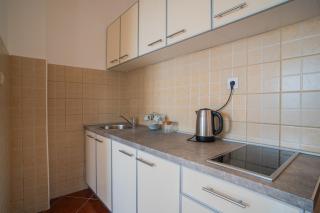 Suite Apartment Sveti Stefan - Sveti Stefan - 1