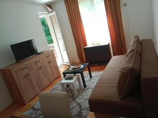 Apartman Vera - Vrnjačka Banja - 1