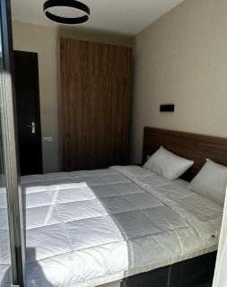 Cristal Loft C block 203 room - 7