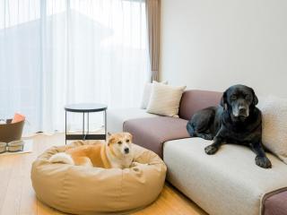 Rakuten STAY VILLA Yatsugatake - 109 Simple Modern Pets Friendly - - Hokuto - 9