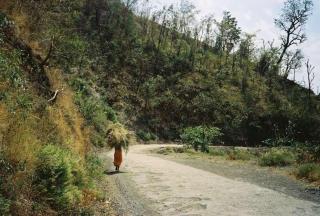Nature Villa - Rishikesh - 9