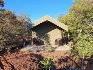 Lion and Cheetah Sanctuary - Cullinan - 2