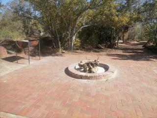 Lion and Cheetah Sanctuary - Cullinan - 7