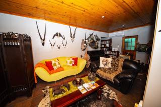 The Olive Tree Guest House - Springbok - 1