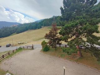 appartamento marmotta - Torgnon - 5