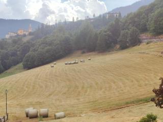 appartamento marmotta - 3