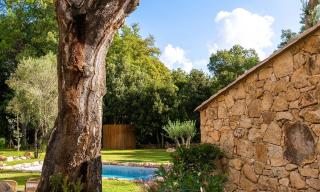 Domaine de Gialla Bergerie I Pini, 2 pers, piscine chauffée, 10 mn plage - Arraggio - 9
