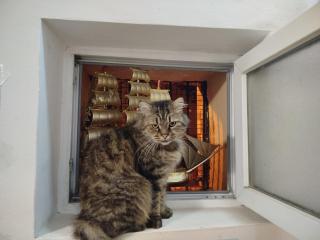 Harmony Backpackers Hostel - 6