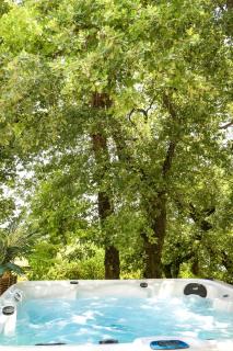 Les Hauts d'Avignon - 7