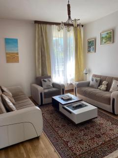 Holiday Home Ilidza Ella - Sarajevo - 7