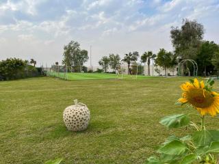 واحة وقصر سالمية - Al Khobar - 6