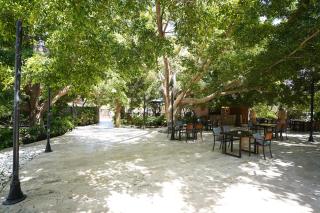 Cirali Hotel - Çıralı - 8