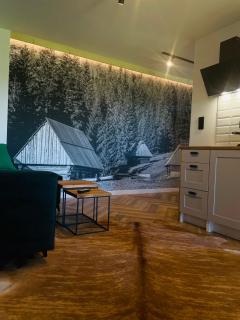 Apartament u Jagi - Murzasichle - 6