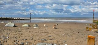 Foxys Seaside Retreat - Withernsea - 3