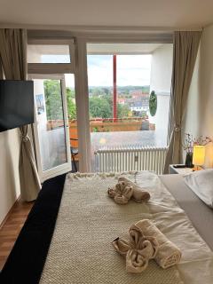 Ferien-Whg Albatros direkt am Steinhuder-Meer, mit Meerblick und Parkplatz - Steinhude - 8
