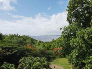 Villa Goyave - 6