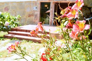 O Quinteiro de Elvira - 6