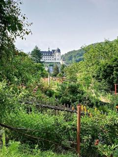 Ferienhaus-Juliana - Stolberg i. Harz - 5