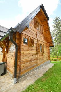 Apartmani Vidaković - planina Zlatar, Nova Varoš, Srbija - Nova Varoš - 9