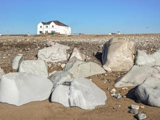 Shells - Ukc6953 - Caernarfon - 2