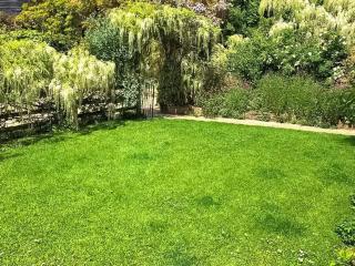 Cider Cottage - Uk50076 - Sidmouth - 2
