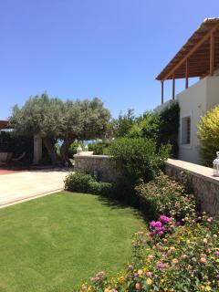Xenon Estate - Spetses - 1