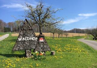 Ferienwohnung Waldhof - Schneisingen - 8