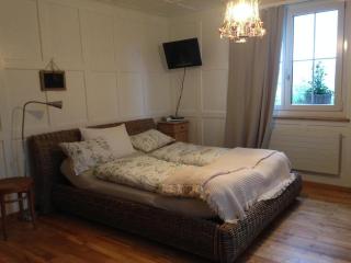 Ferienwohnung Waldhof - Schneisingen - 3