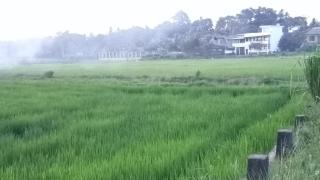 New Look villa - Matara - 4