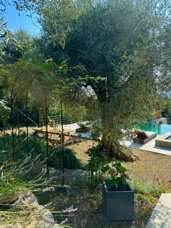 Escondida - Nizza - 7