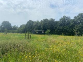 Het Hof van Wouter - Ede - 9