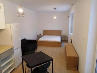 1 Room Apartment - Otilia - 3