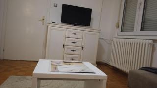 Apartmani Bulevar Kneza Miloša - Novi Sad - 5