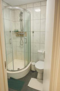 Entire Apartment in Central London - London - 1