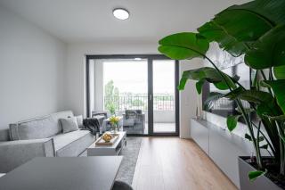 Work&Living Studio-Prístavná1 - Nivy - 4