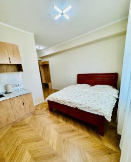 Tsahar geust house - Ulaanbaatar - 9