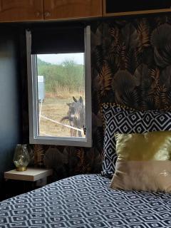 Comme chez Moi - Mobile-home dans camping à la ferme - - 4