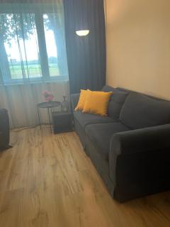 Next to the Manor - 4