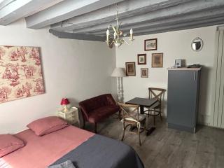 Le logis de l'hermine - Blois - 7