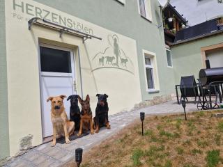 FeWo Herzenstölen - 9