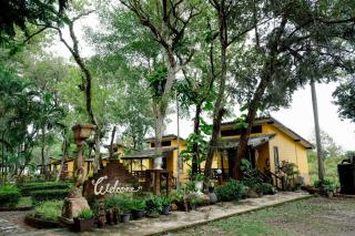 Moonlit Garden - 4